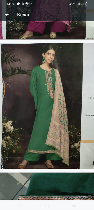 Winter collection pashmina suits  uploaded by Bharat Kriti on 1/7/2023