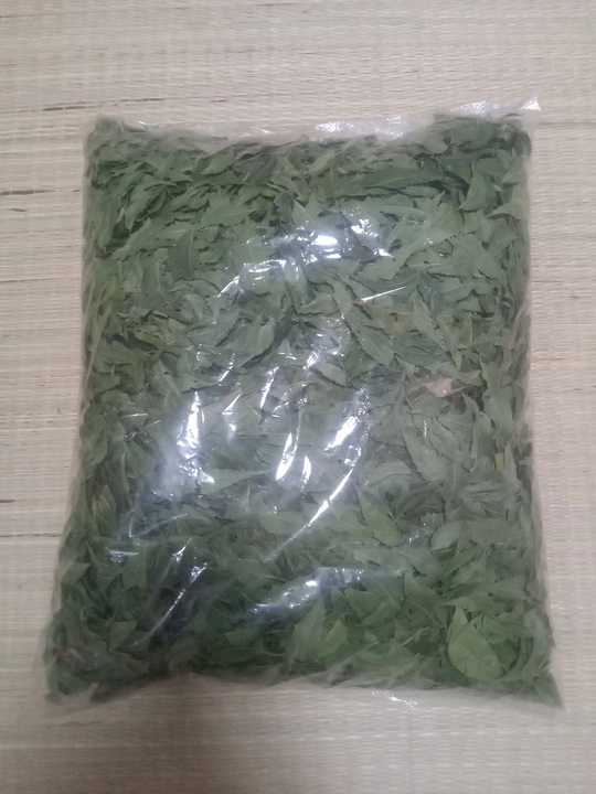 Dry NEEM LEAVEES  uploaded by business on 1/7/2023