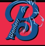 Business logo of B S shop