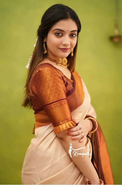 Pure Banarasi Soft Silk saree  uploaded by Balaji Lifestyle on 1/12/2023