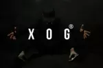 Business logo of XOG ®