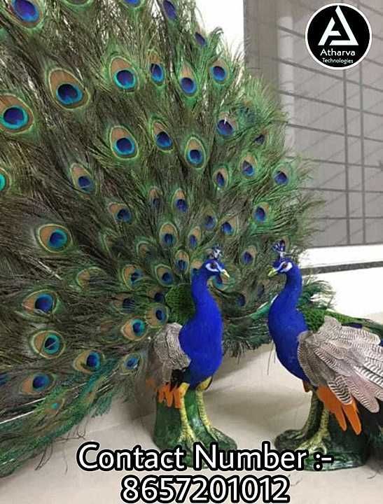 Post image About Handmade Peacock:-
✓ Moulded with Royal Blue Velvet Body Texture.
✓ Beautiful and Attractive Peacock with nice Feathers and Handicrafts work.
✓Suitable for Temples, Gifts for Devotional, Loved Ones, Corporate, Indoor Art, Interiors,Home Decor, Vastu Shastra, Office, Wedding,Events, Positivity (+ve) , &amp; lots of benefits.

WhatsApp Number:-
8657201012