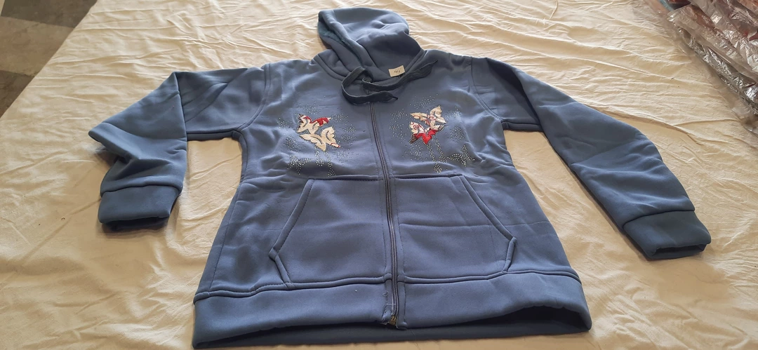 Product image of Ledies jacket, price: Rs. 260, ID: ledies-jacket-a6b11113
