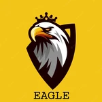 Business logo of EAGLE SARI & KIDS WEAR