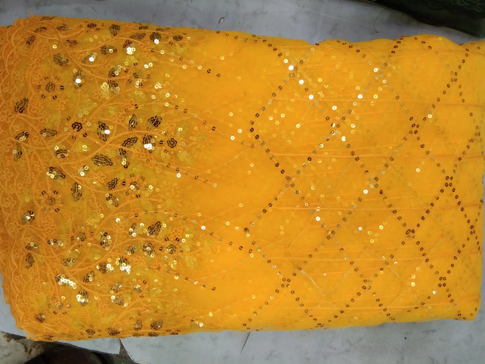 Net big panna sequence daman work uploaded by Ramdev Fashion on 1/16/2023