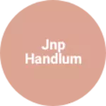 Business logo of Jnp handlum