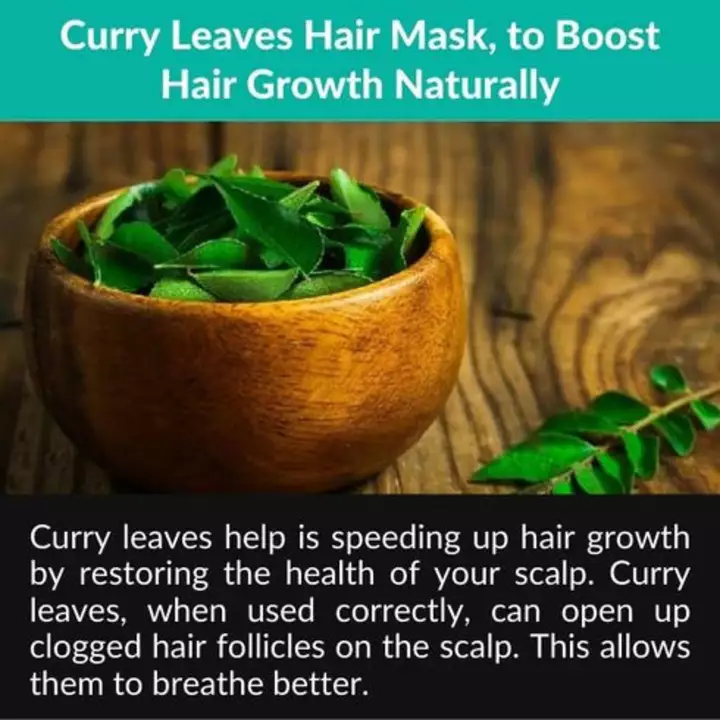 Natural Plural curry leaves  uploaded by business on 1/18/2023