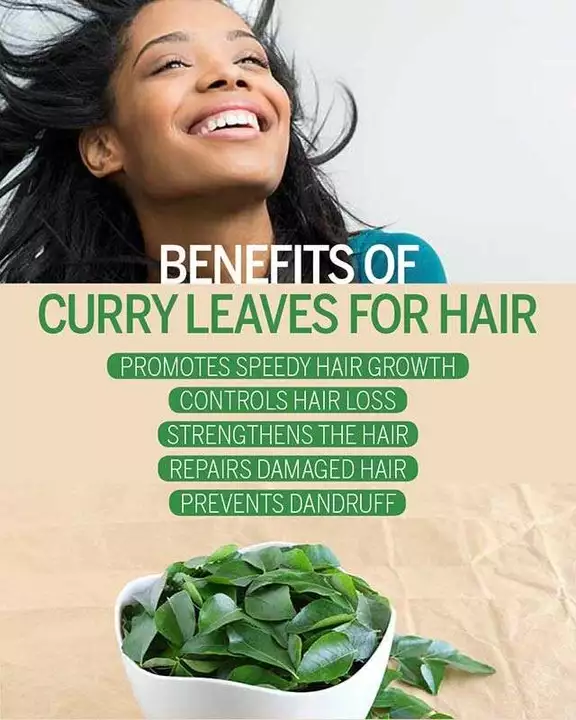 Natural plural curry leaves  uploaded by Choudhary on 1/18/2023