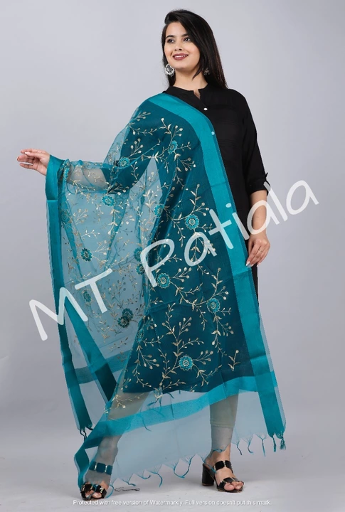 Amazing Net Jal Dupatta  uploaded by Shree Dayal and Company on 1/18/2023