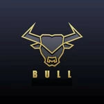 Business logo of Big bull men's wear