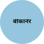 Business logo of बीकानेर