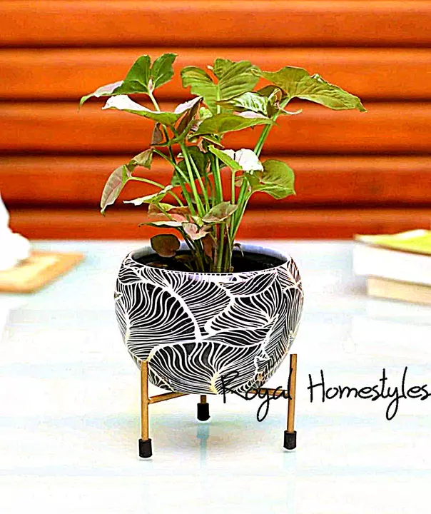 Flower pots and vases uploaded by Royal homestyles on 1/21/2023