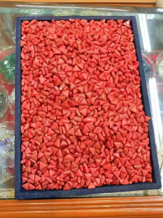 Beautiful red coral munga uploaded by business on 1/22/2023