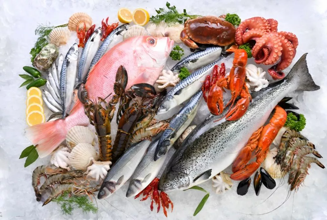 All type of Seafoods available here.  uploaded by Fisher king - Seafood wholesaler and retailer on 1/23/2023