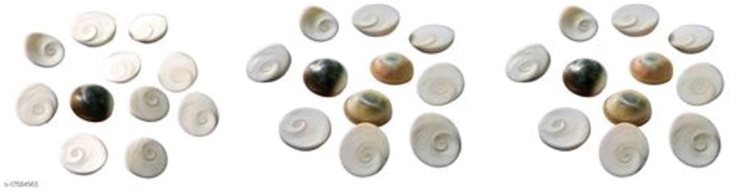 51 Pieces of Gomati Chakra uploaded by business on 2/15/2021