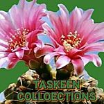 Business logo of Taskeen collections 