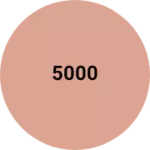 Business logo of 5000