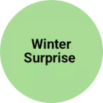 Business logo of Winter surprise