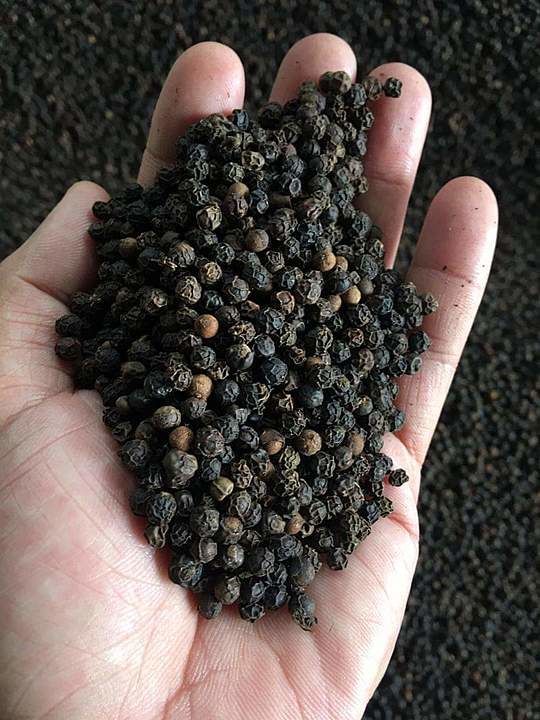 Black pepper  uploaded by FOODEX  on 7/6/2020