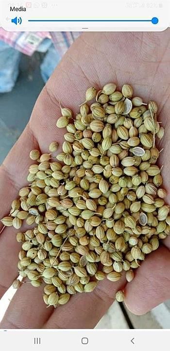 Coriander seed uploaded by business on 7/6/2020
