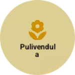 Business logo of Pulivendula