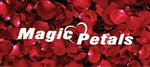 Business logo of Magic Petals 