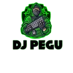 Business logo of Dj pegu