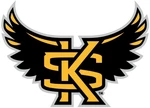 Business logo of SK FASHION ZONE
