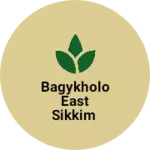 Business logo of Bagykholo east Sikkim