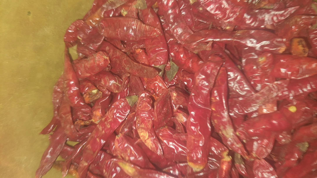 Mirchi  uploaded by NADDA FOOD PRODUCTS on 1/29/2023