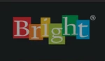 Business logo of Bright industry