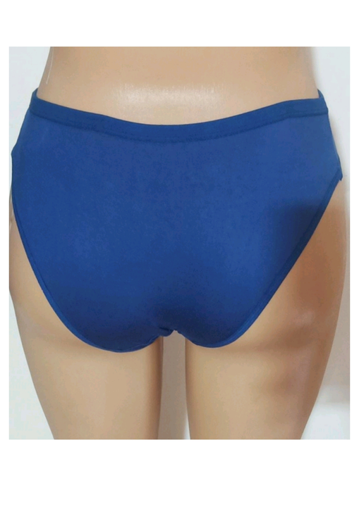 Plain Panty  uploaded by Lezonix Fashion (unit of Ranjan industry) on 5/28/2024