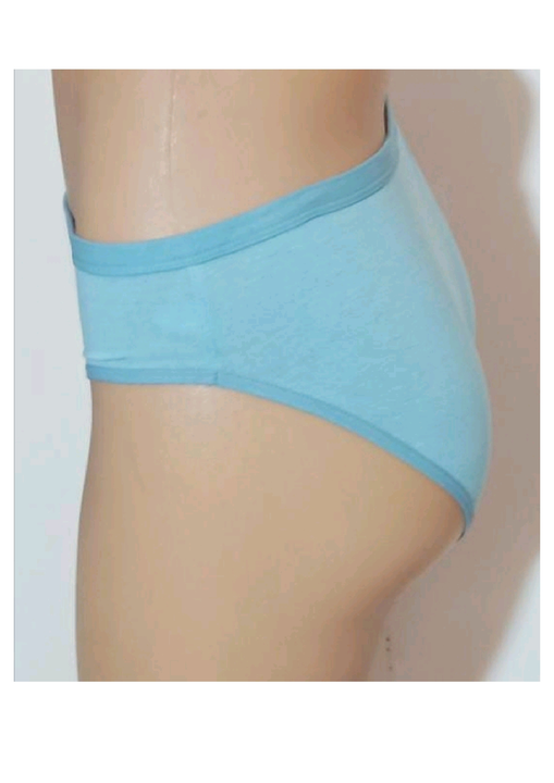Plain Panty  uploaded by Lezonix Fashion (unit of Ranjan industry) on 1/31/2023