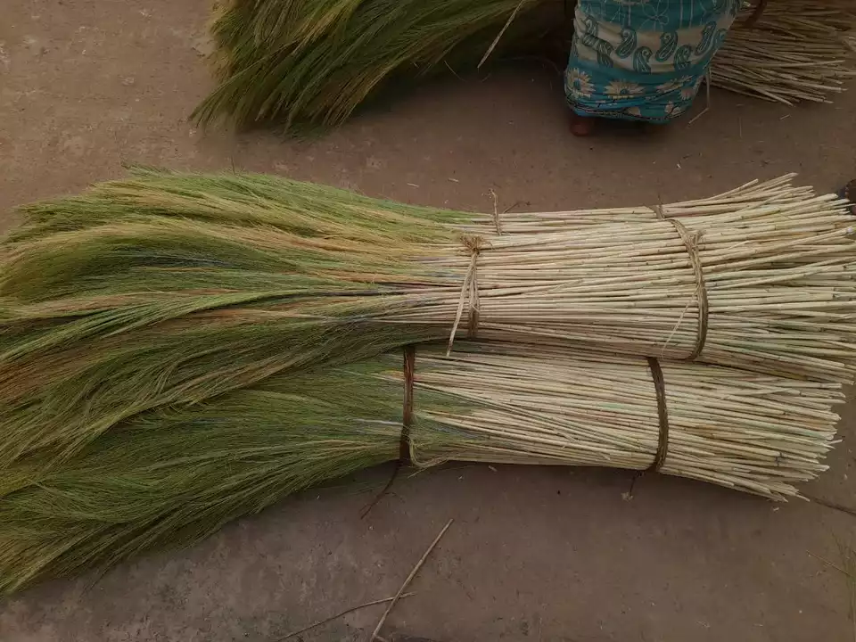Soft brooms raw material  uploaded by business on 2/1/2023