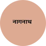 Business logo of नागनाथ