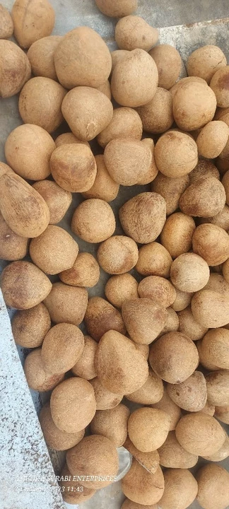 Warehouse Store Images of Mirza coconut 🥥 holseler