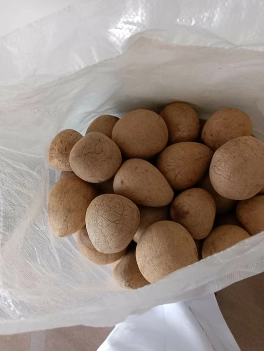 Product uploaded by Mirza coconut 🥥 holseler on 2/3/2023