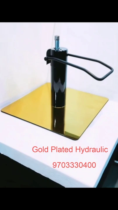 Gold hydraulic plate  uploaded by Royal Premier Industries on 2/4/2023