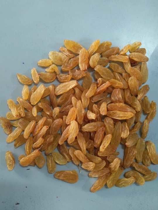 Kismis goldan uploaded by Riddhi Siddhi Agro products on 2/18/2021