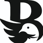 Business logo of BLACK BUSTARD