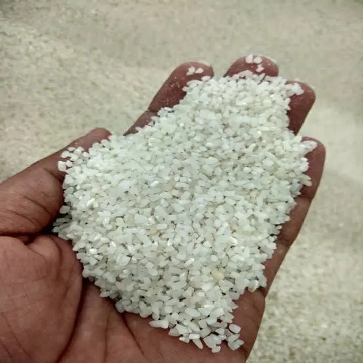 broken rice  uploaded by shaan agro commodities on 5/30/2024