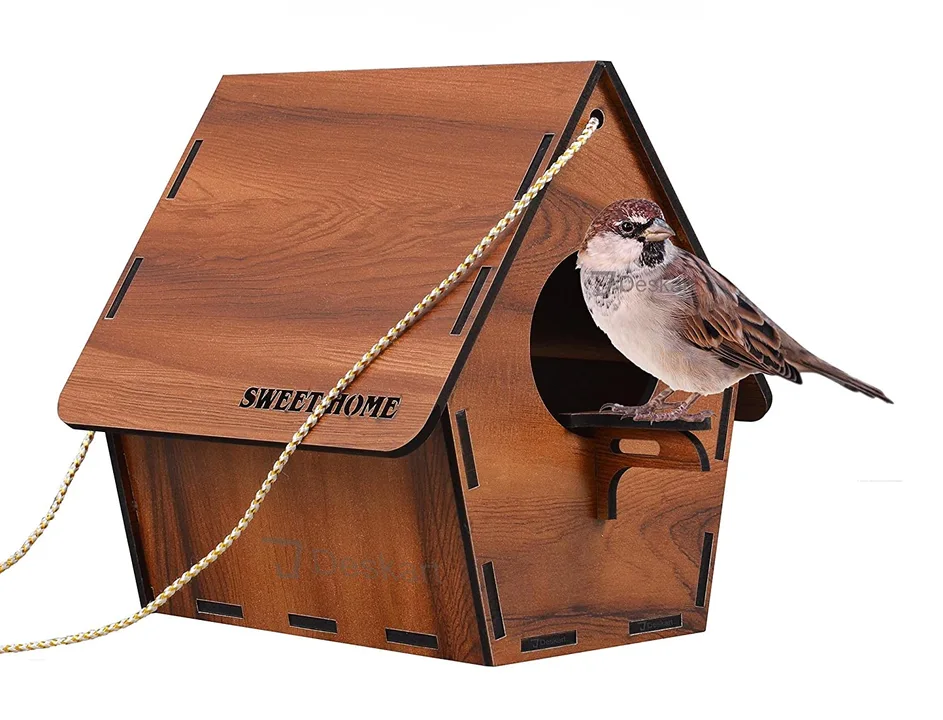 Wooden bird house uploaded by business on 2/10/2023