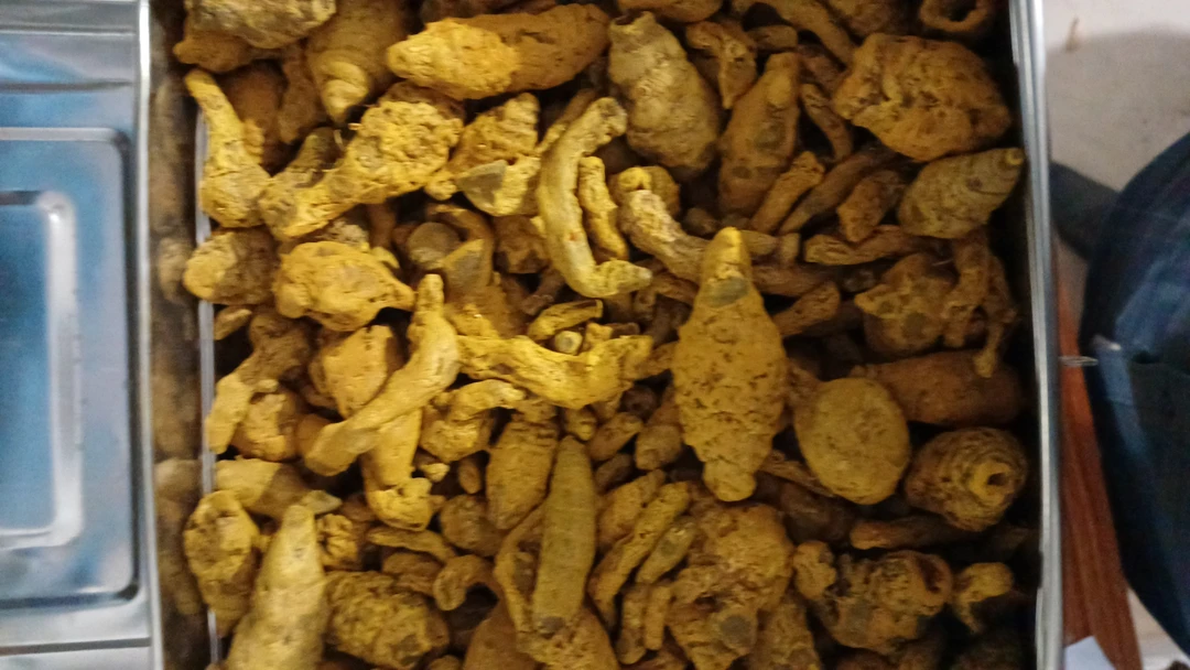 Raw Turmeric  uploaded by business on 2/10/2023