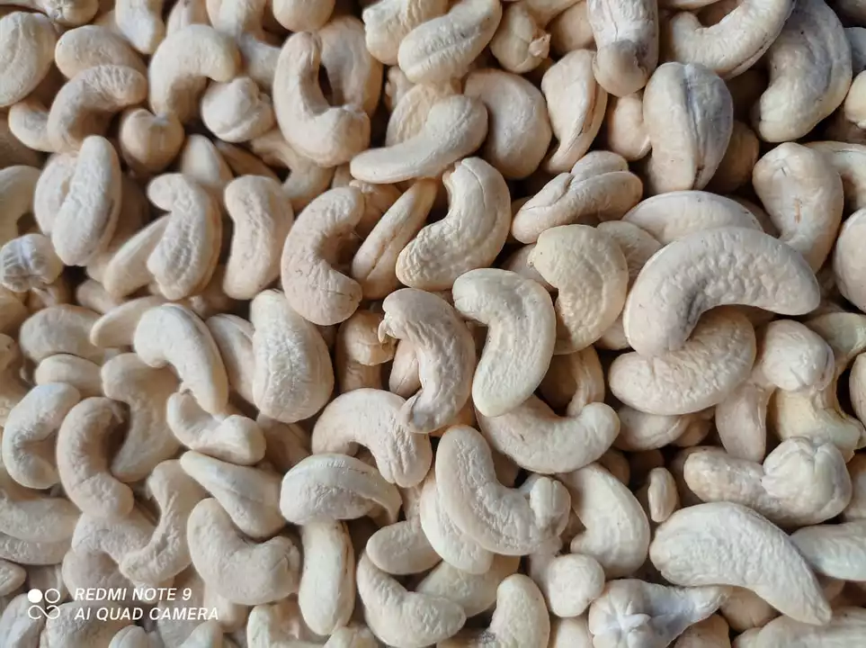 IMPORTED- CASHEW W320-580 uploaded by Sri Sai Export on 5/28/2024