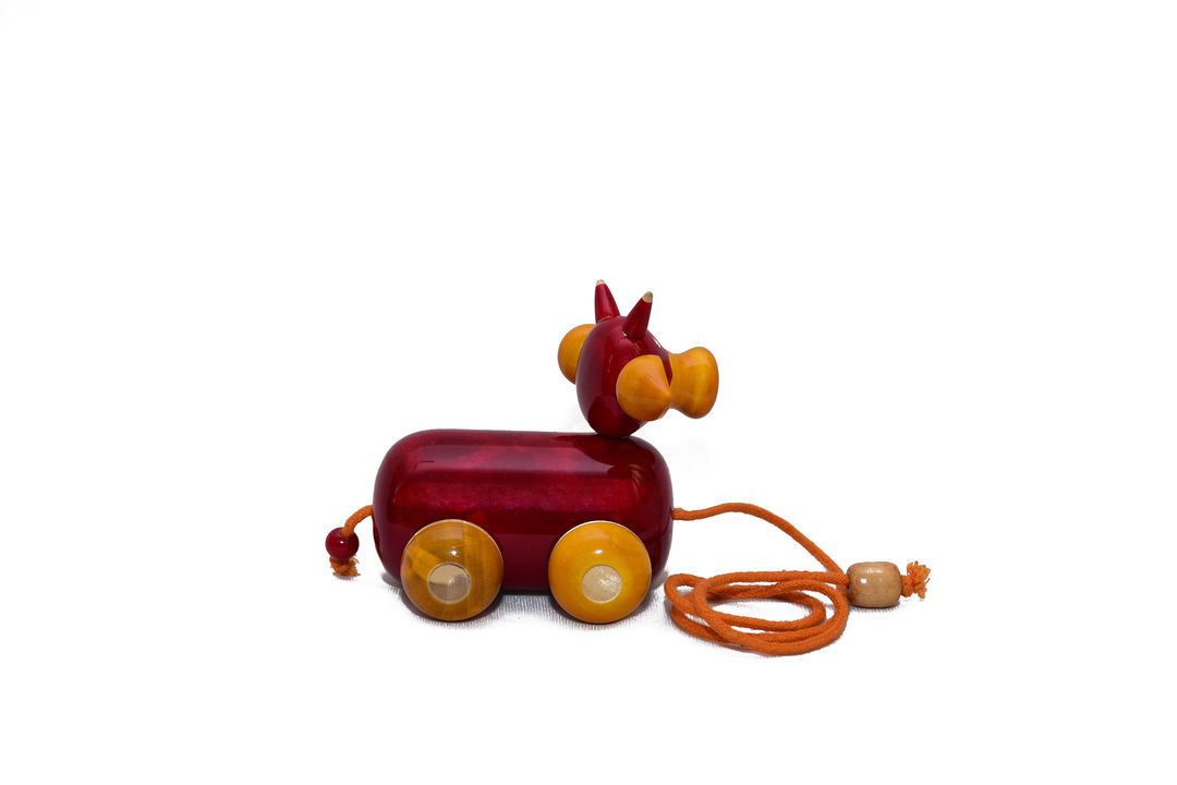 Caw pull along toy uploaded by business on 2/20/2021