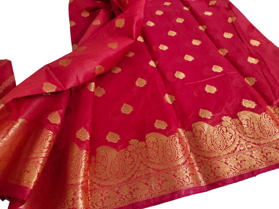 Banarasi Suit uploaded by Traditional Banarasi on 2/17/2023