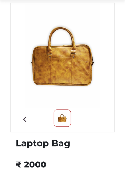 Laptop bag  uploaded by Teamex Retail LTD on 2/17/2023