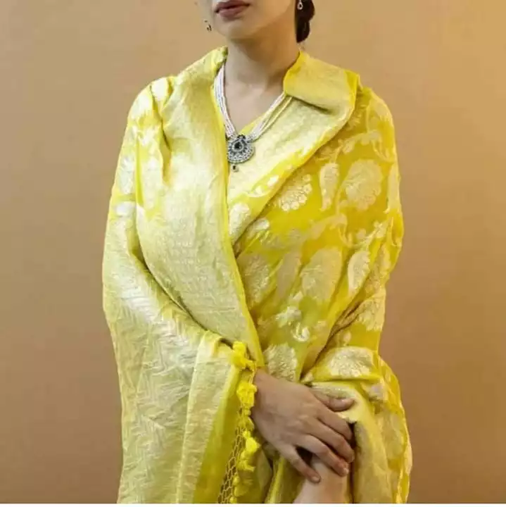 Chiffon saree uploaded by Rida fashion on 2/18/2023
