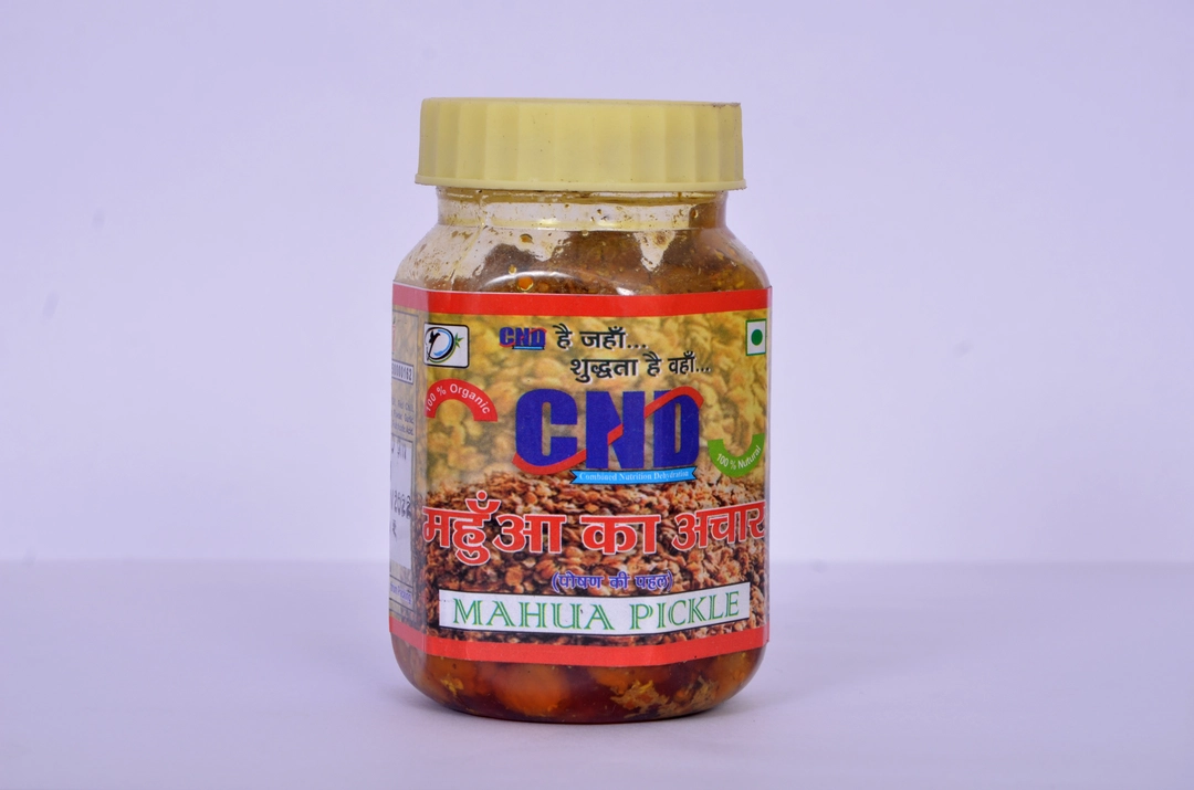 Mahuaa pickle uploaded by Dhairya Enterprises C.N.D on 2/18/2023
