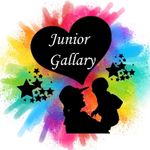 Business logo of Junior Gallary 